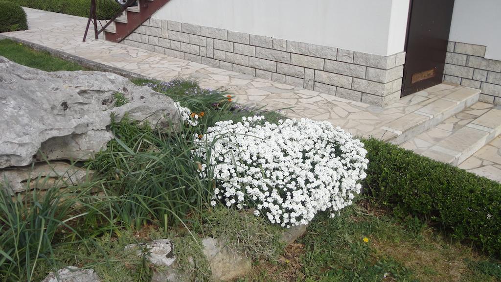 Apartment Fabris Roč Rom bilde