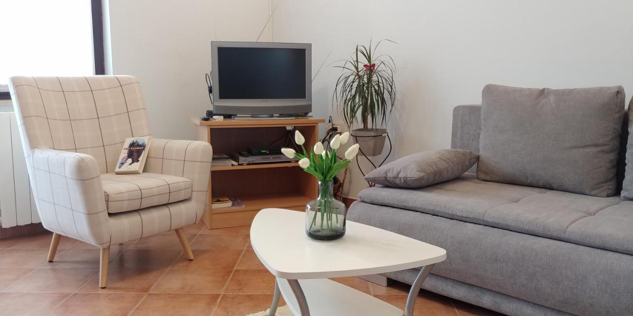 Apartment Fabris Roč Eksteriør bilde